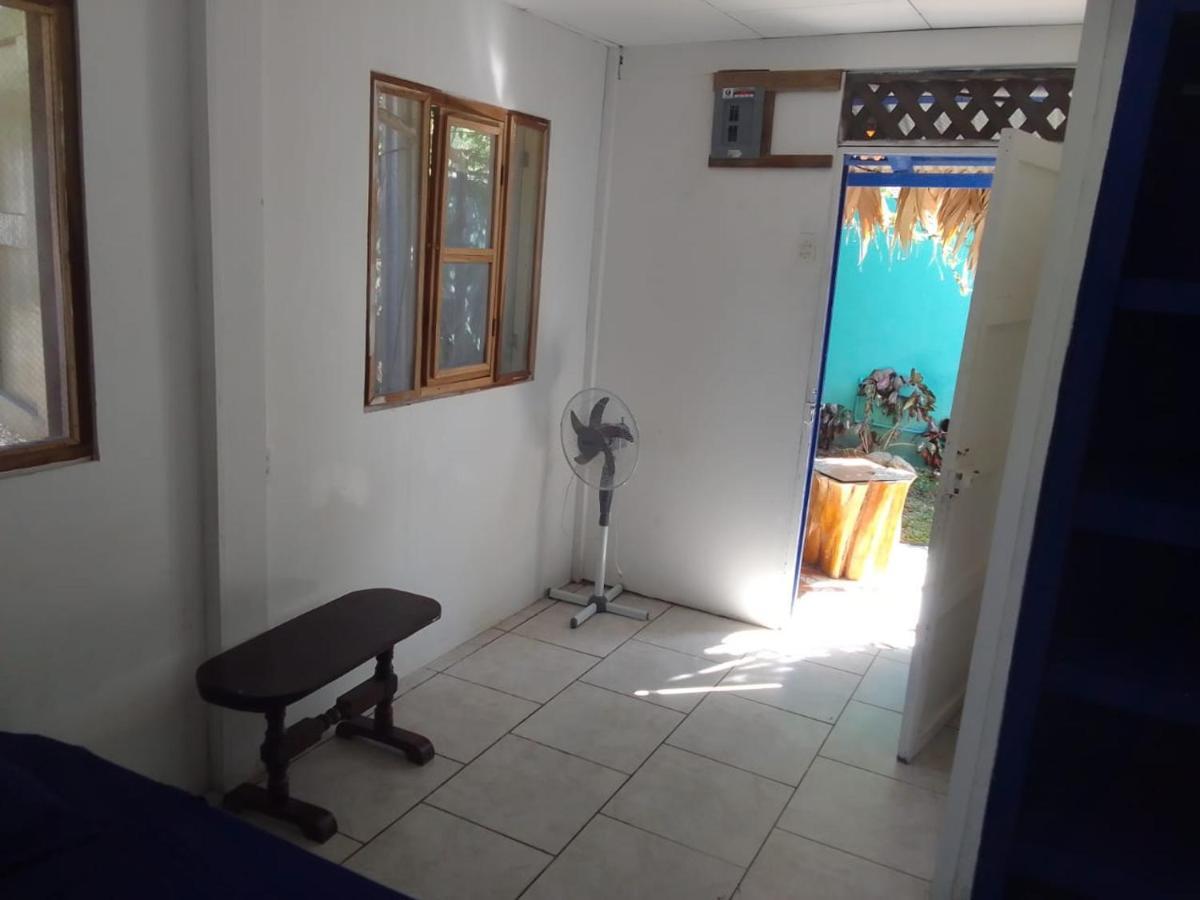 מלון Puerto Viejo de Talamanca Mar Caribe Pv מראה חיצוני תמונה