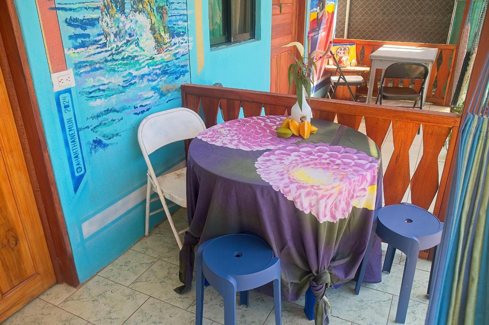 מלון Puerto Viejo de Talamanca Mar Caribe Pv מראה חיצוני תמונה